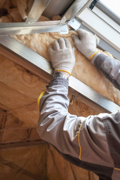 Best Commercial Insulation in Cobb Island, MD