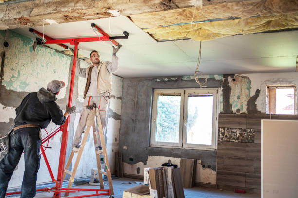 Best Insulation Maintenance and Repair in Cobb Island, MD