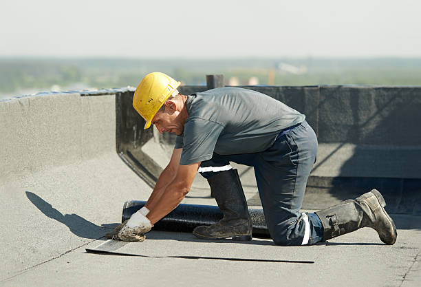 Best DIY Insulation Kits and Guidance in Cobb Island, MD